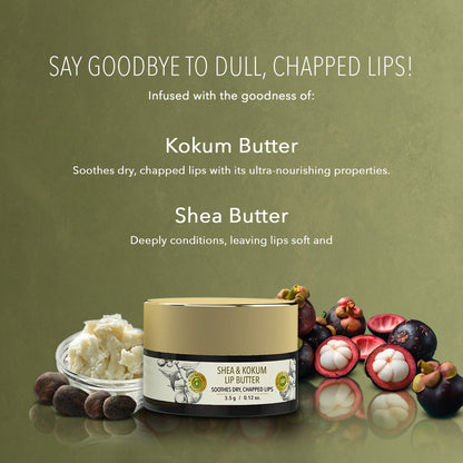 fabessentials Shea & Kokum Lip Butter 3.5g | Lip Balm for Chapped Lips